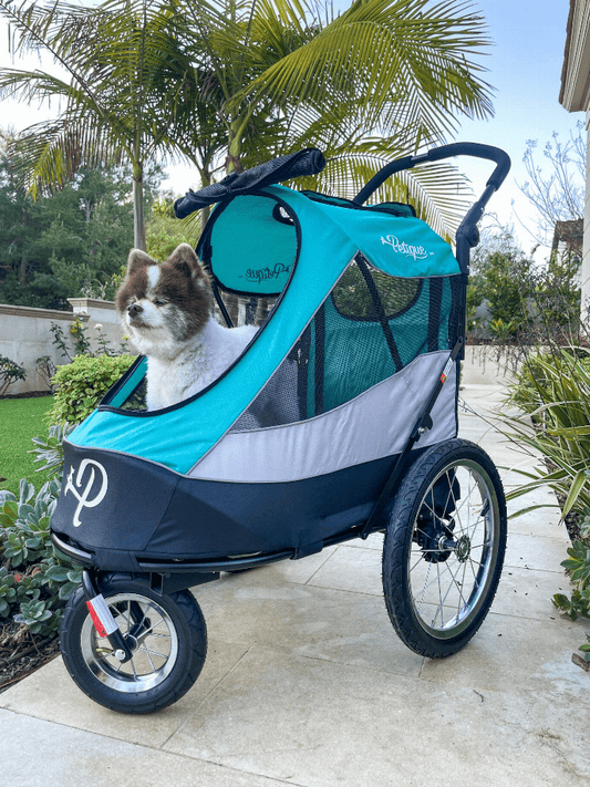 Petique Trailblazer Pet Dog Jogger